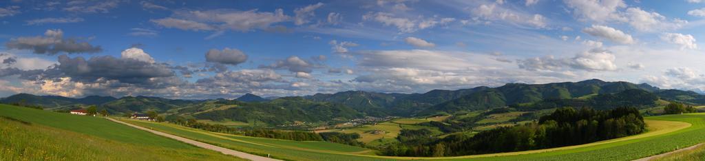 Hochhubergut Villa Aschach an der Steyr Cameră foto